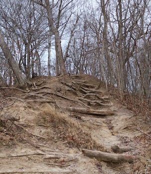 eroded trail